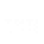 socs.png